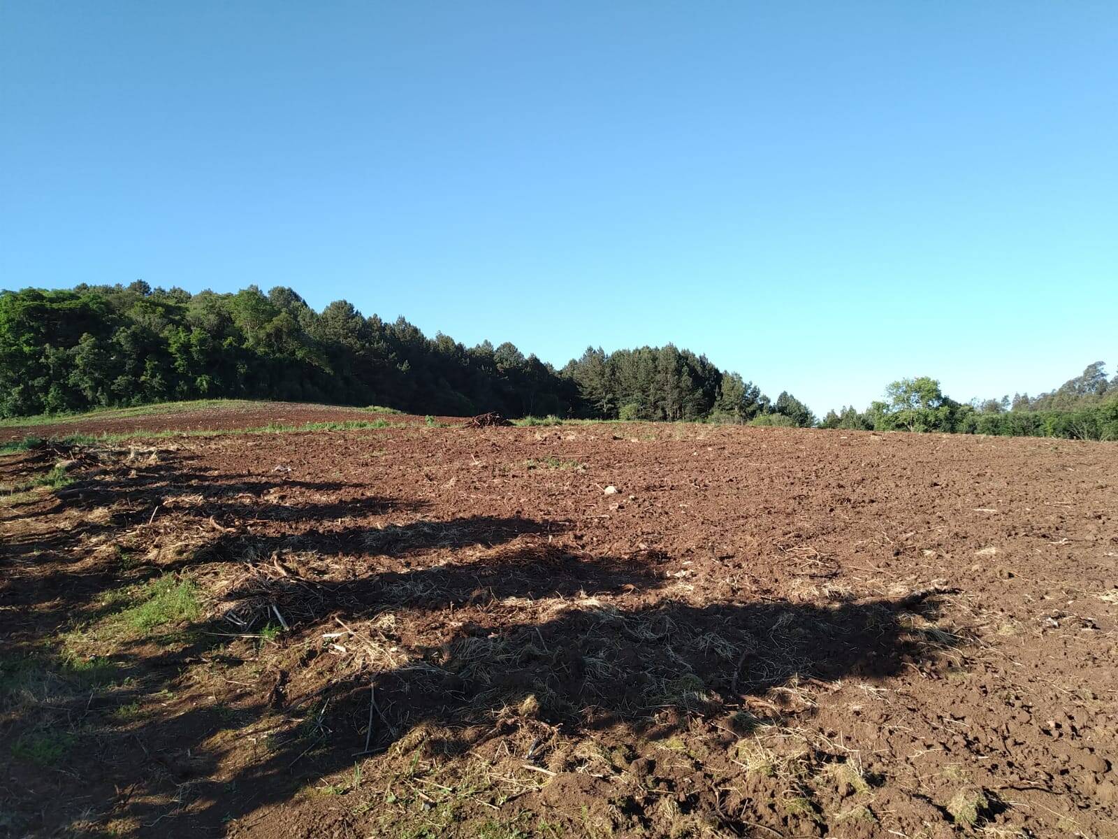 #81 - Chácara para Venda em Pinto Bandeira - RS